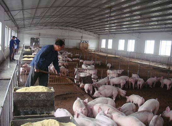 什么是養殖廢水？養殖廢水處理工藝