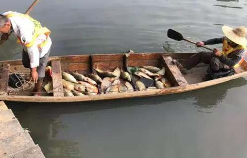 廣州旺旺食品廢水直排，永和河大量魚(yú)類死亡